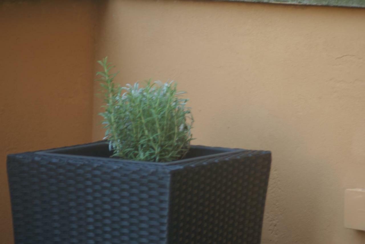 Stayinbologna Bagian luar foto